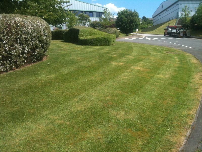How Much Of Your Budget Should Be Set Aside For Grounds Maintenance