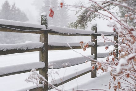 Top 5 Landscape Maintenance Tasks During Winter Months