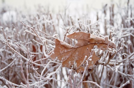 Gritting For Business Grounds - Keeping Visitors And Employees Safe Over Winter