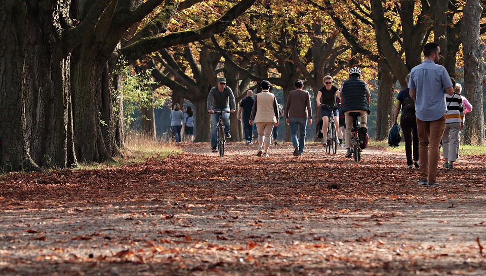 The Top Risks Fallen Leaves Can Cause To Your Business